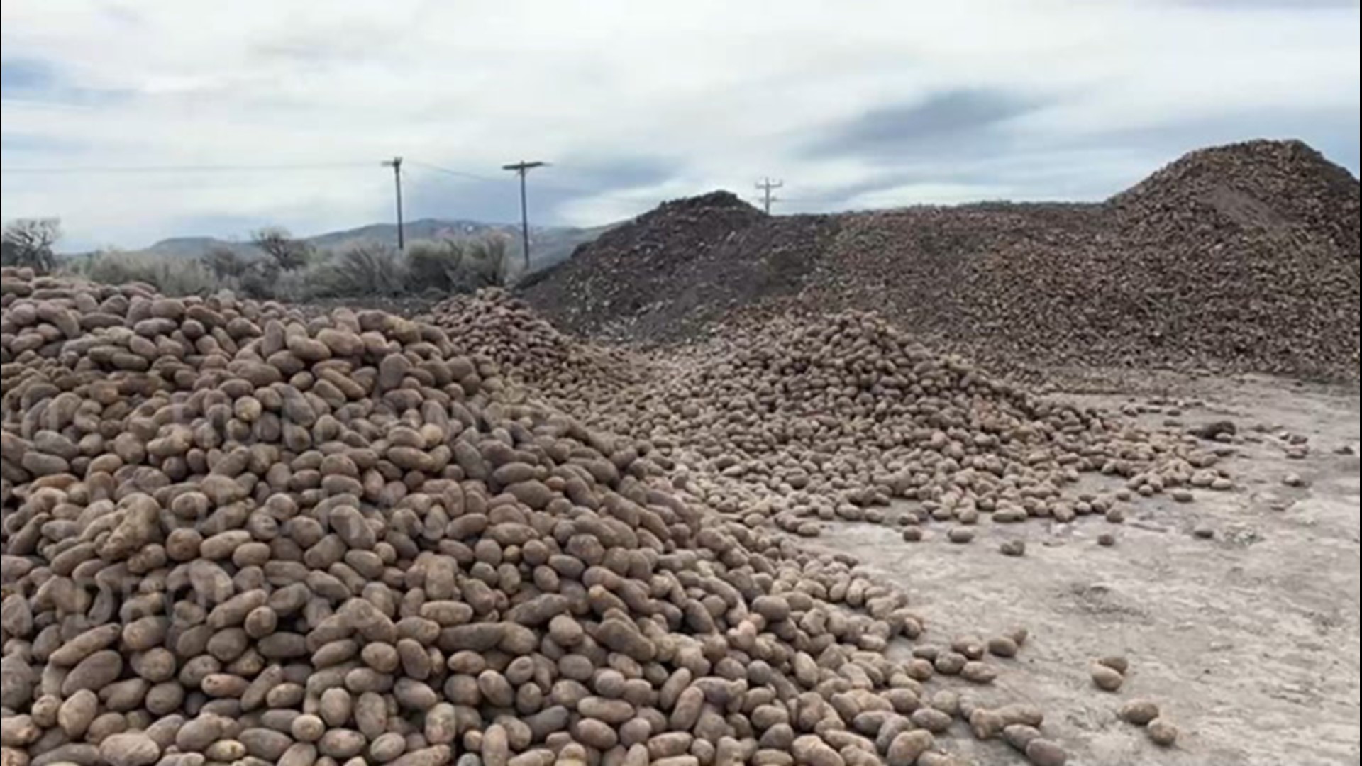 Due to COVID-19 farmers across the nation are seeing an extreme surplus of crops. Here's how extra potatoes in Idaho are being put to good use.