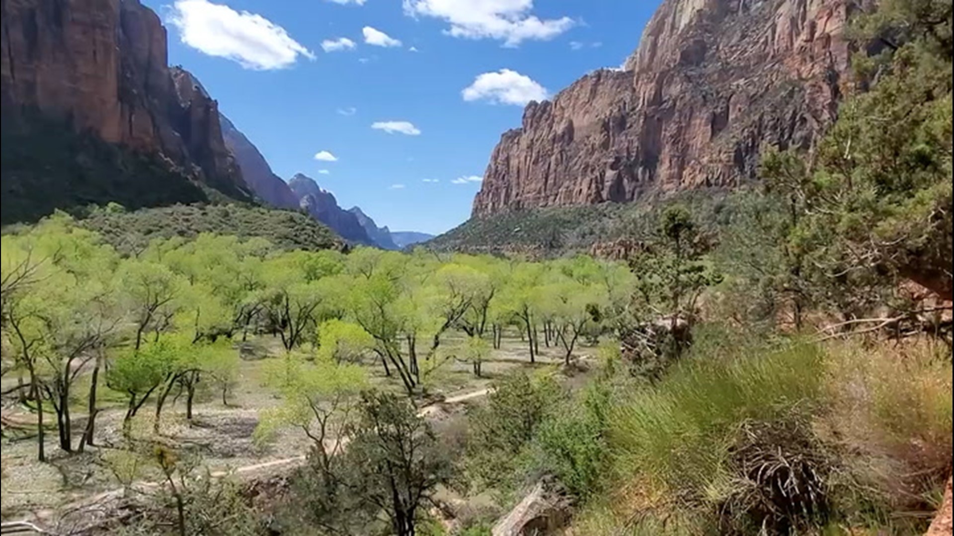 Taking A Virtual Hike In Zion National Park Cbs19 Tv