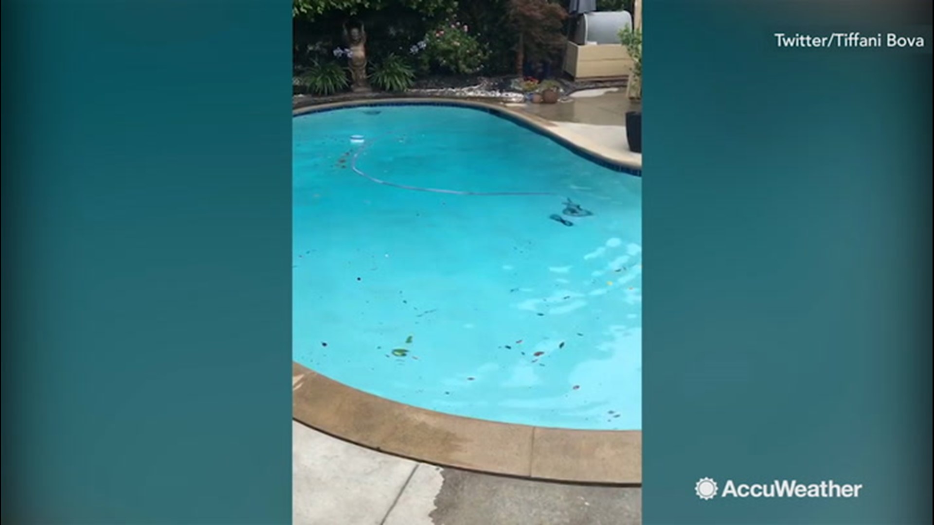 Earthquake causes pool water to ripple | cbs19.tv