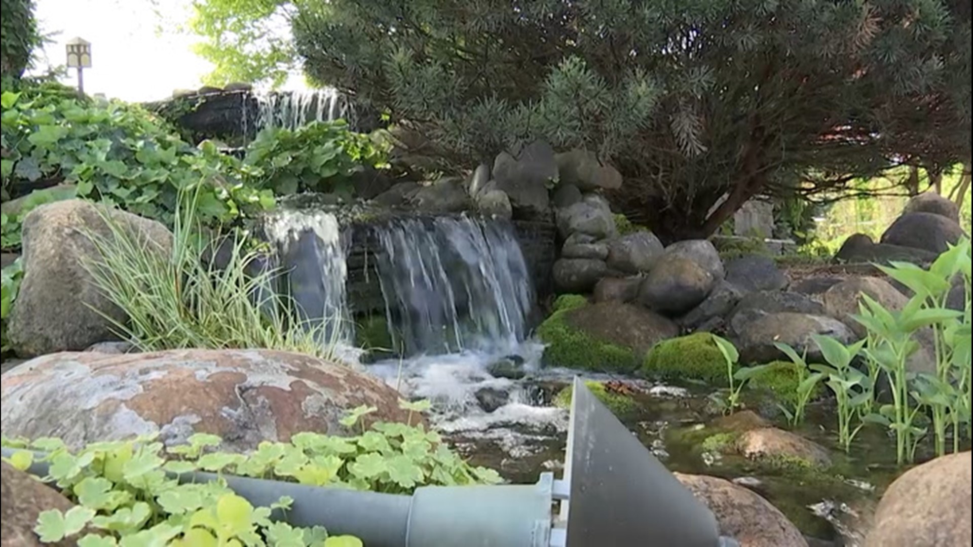 The soothing sound of water flowing has people flocking to garden centers to try out aquatic gardening for the first time. AccuWeather's Blake Naftel has some advice.