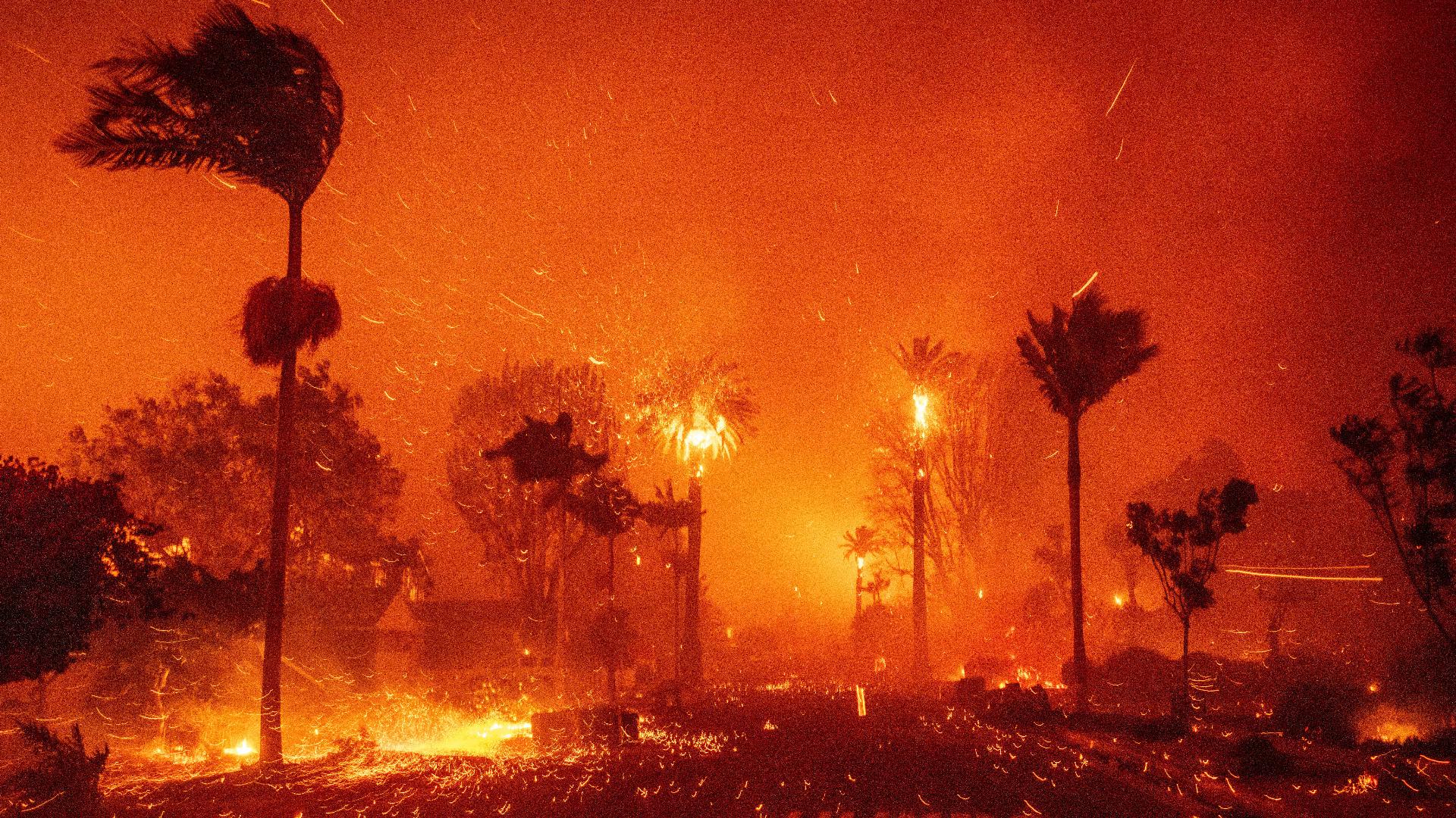 WATCH: Wildfires rip through homes across several Los Angeles neighborhoods