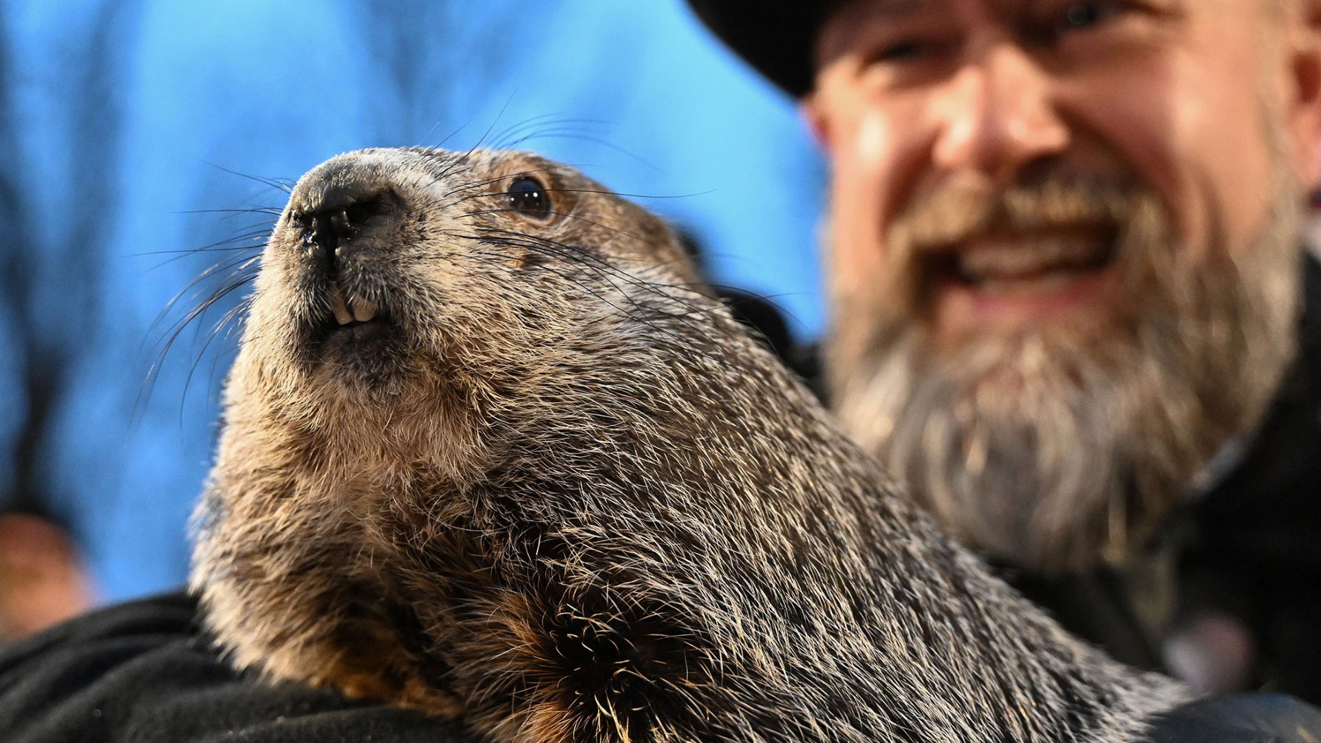 Groundhog Day 2025 Did Punxsutawney Phil see his shadow? cbs19.tv