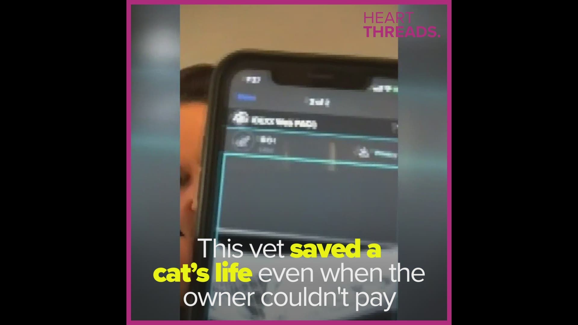 This veterinarian performed a life-saving surgery on a beloved cat, even when the owner couldn't afford to pay.