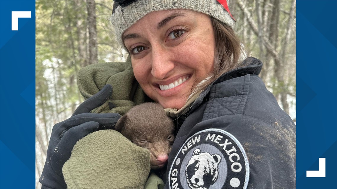 Buscan ‘abrazadores de osos profesionales’ para trabajar en Nuevo México