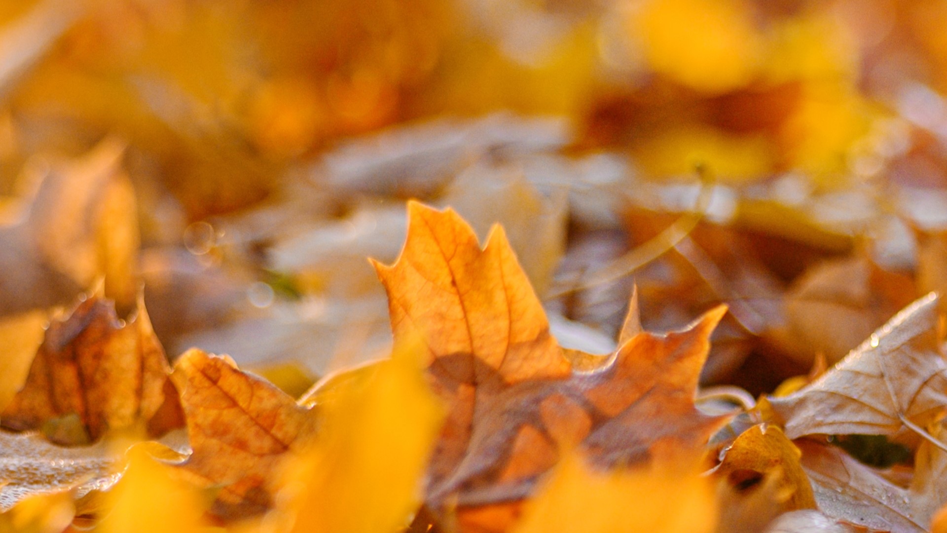 When does fall officially begin? | cbs19.tv