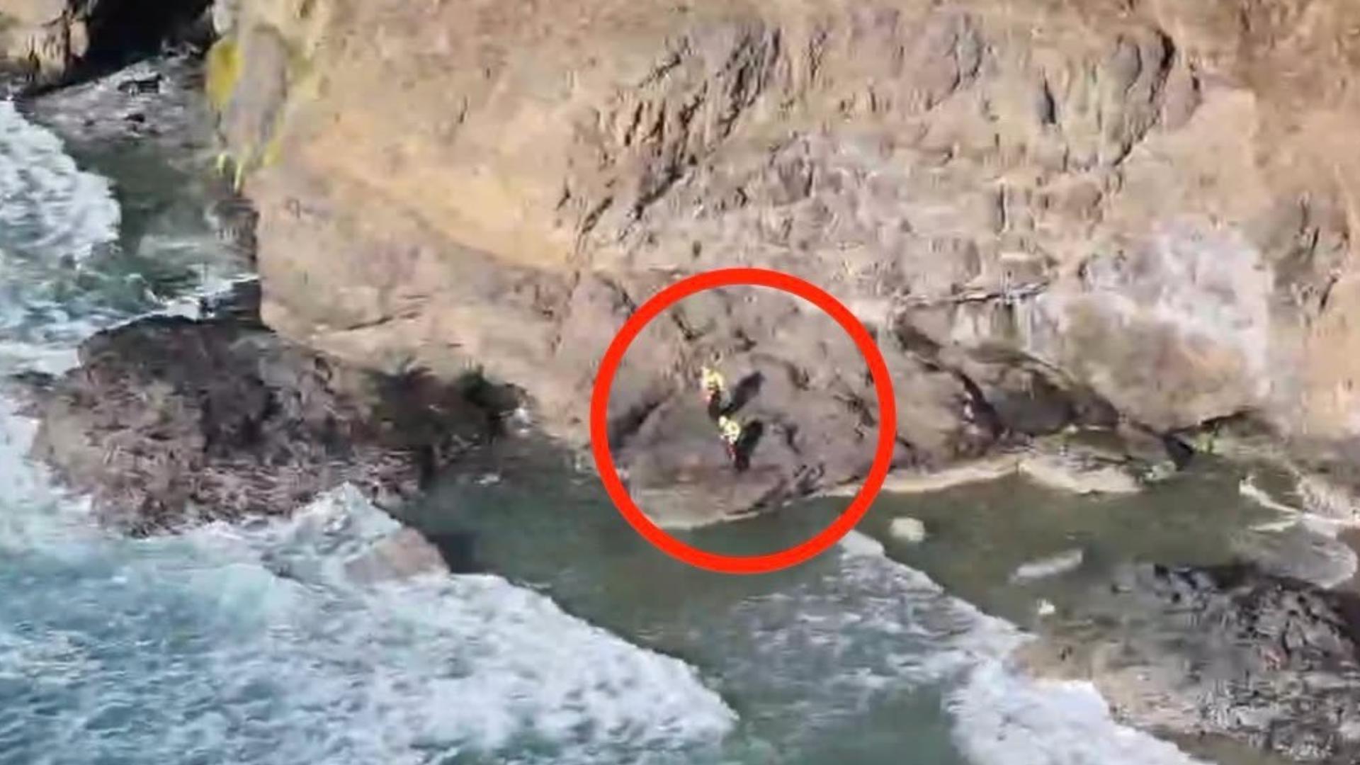 Tide Ropees Tourists rescued after rising tide traps them on secluded Oregon coast ...