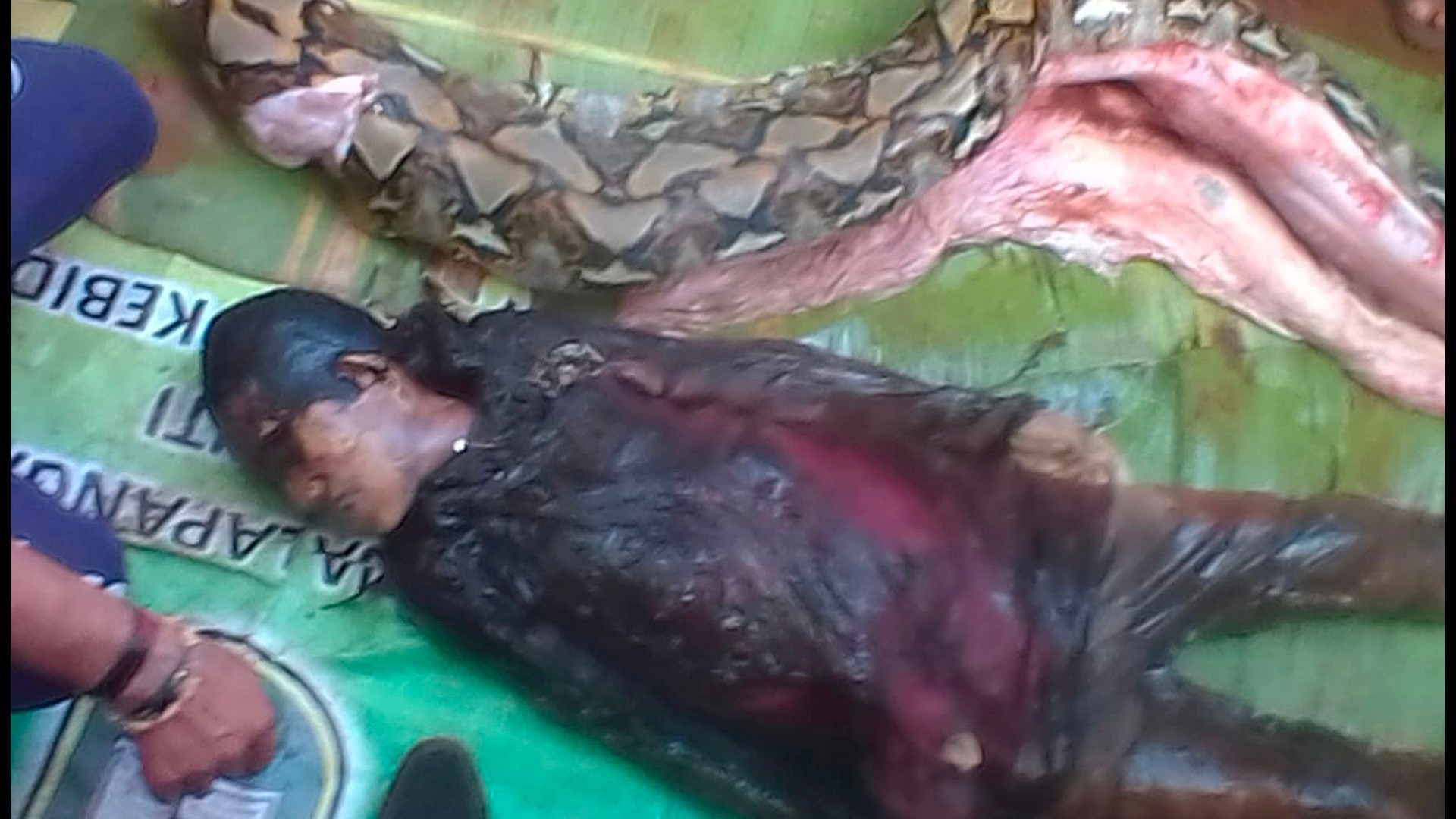 23-foot-long python swallows Indonesian woman | cbs19.tv