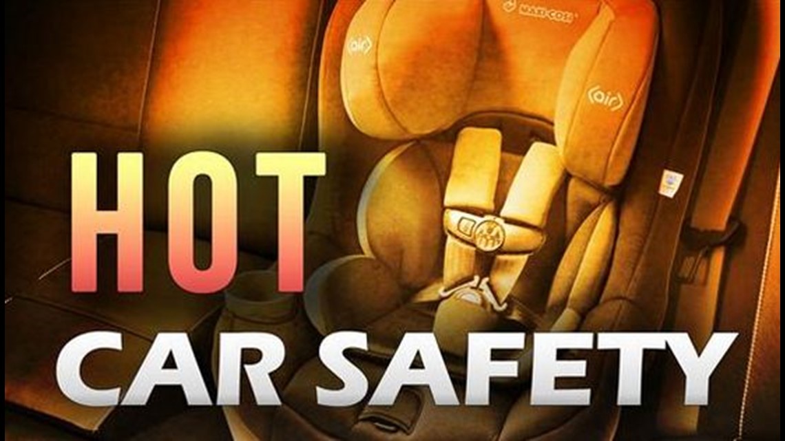 Texas News | Avoiding hyperthermia, heatstroke and hot car deaths - Vimarsana News