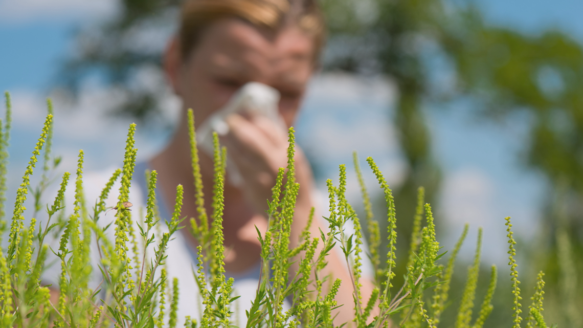 Fall brings new allergy season to East Texas | cbs19.tv