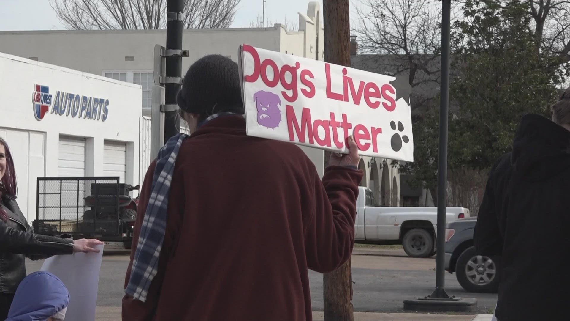 Residents from Temple to Austin and Marlin gathered outside Marlin City Hall Saturday in protest of the recent mistreatment of dogs at the Marlin Animal Shelter.