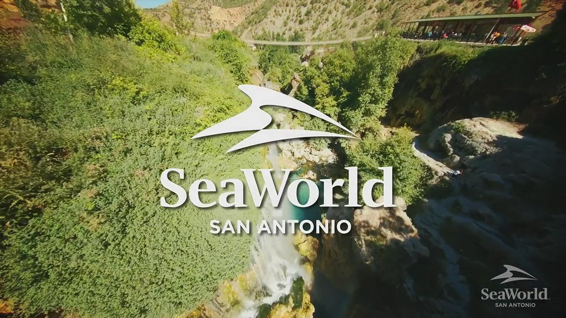 Check Out The Thrilling New Ride Coming To SeaWorld In 2024 Cbs19 Tv   2c836ec7 9285 4d79 A656 42ce6772b5fa 1920x1080 