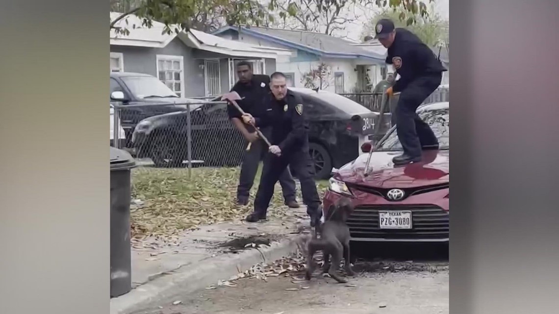 Lawsuit filed in deadly dog attack on San Antonio's west side | cbs19.tv