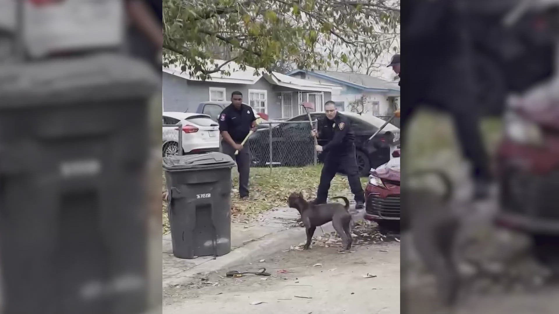 Lawsuit filed in deadly dog attack on San Antonio's west side | cbs19.tv