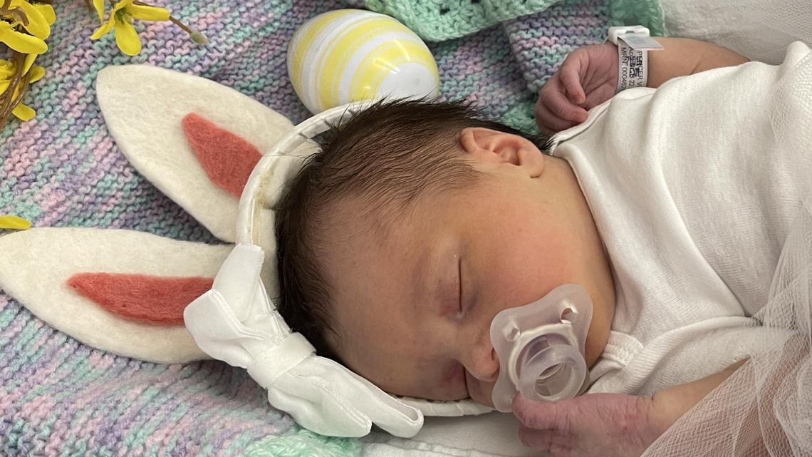 TOO CUTE: Newborn babies all dressed up as Easter bunnies - Vimarsana News
