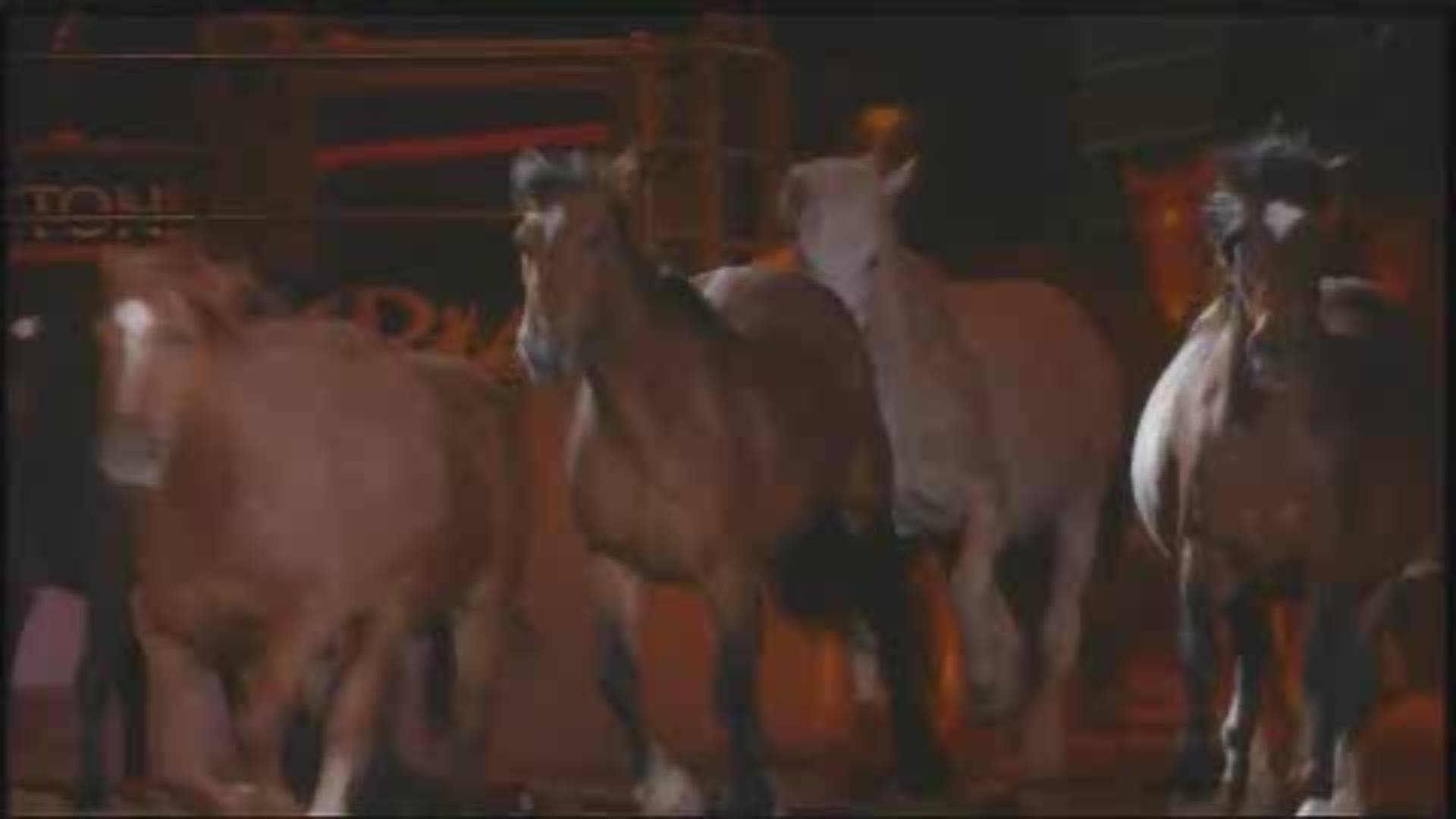 A beautiful tribute to bucking horses has proven to be a popular addition to RodeoHouston each night, even bringing some rodeogoers to tears.