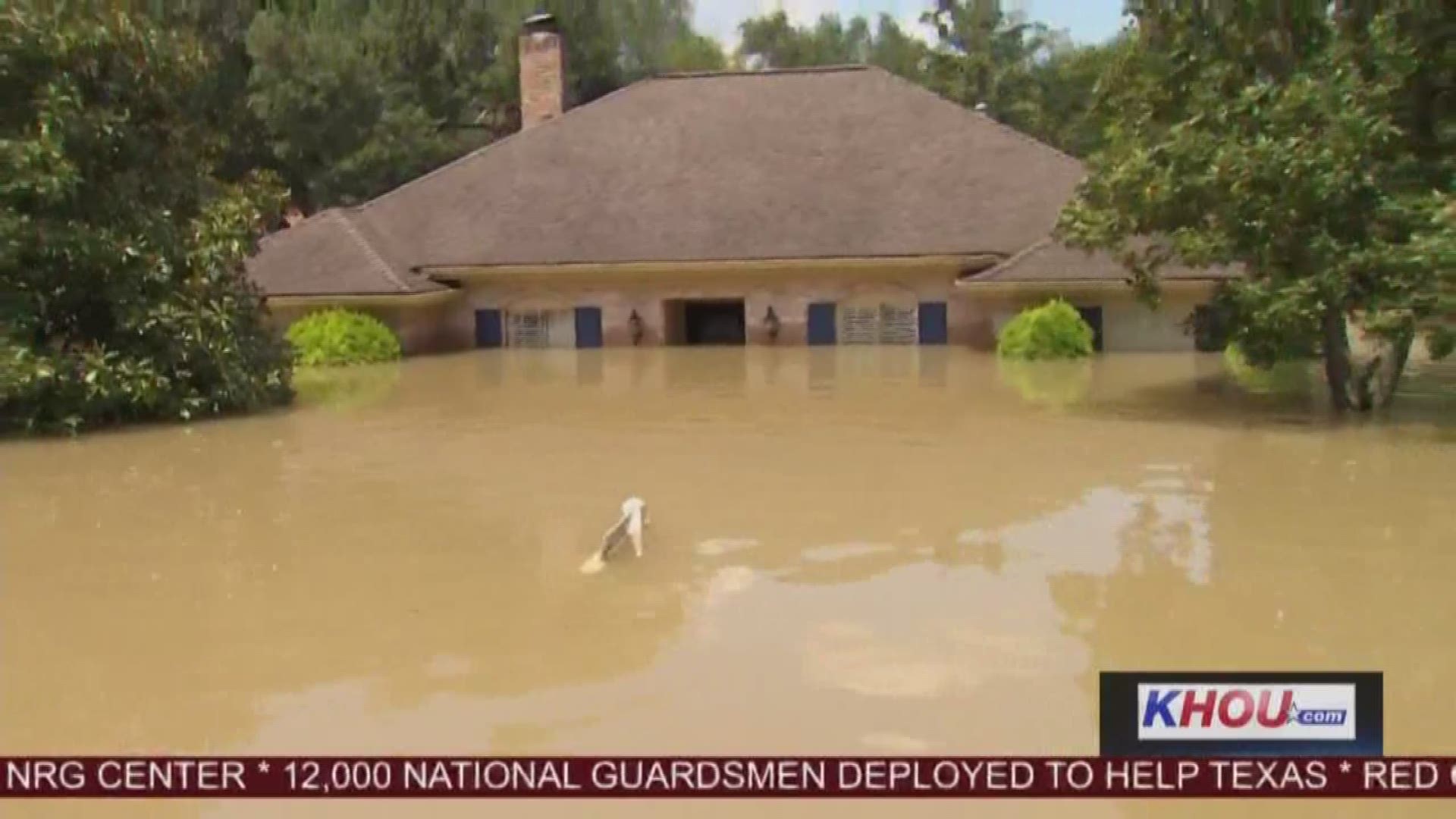 Rescues continued late Thursday evening in Bear Creek as the water remained dangerously high.