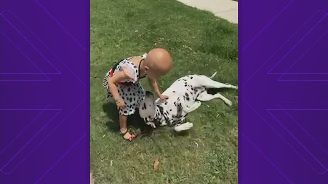 Girl Fighting Cancer Meets Richmond Fds Dalmatian Texas News Cbs19tv 