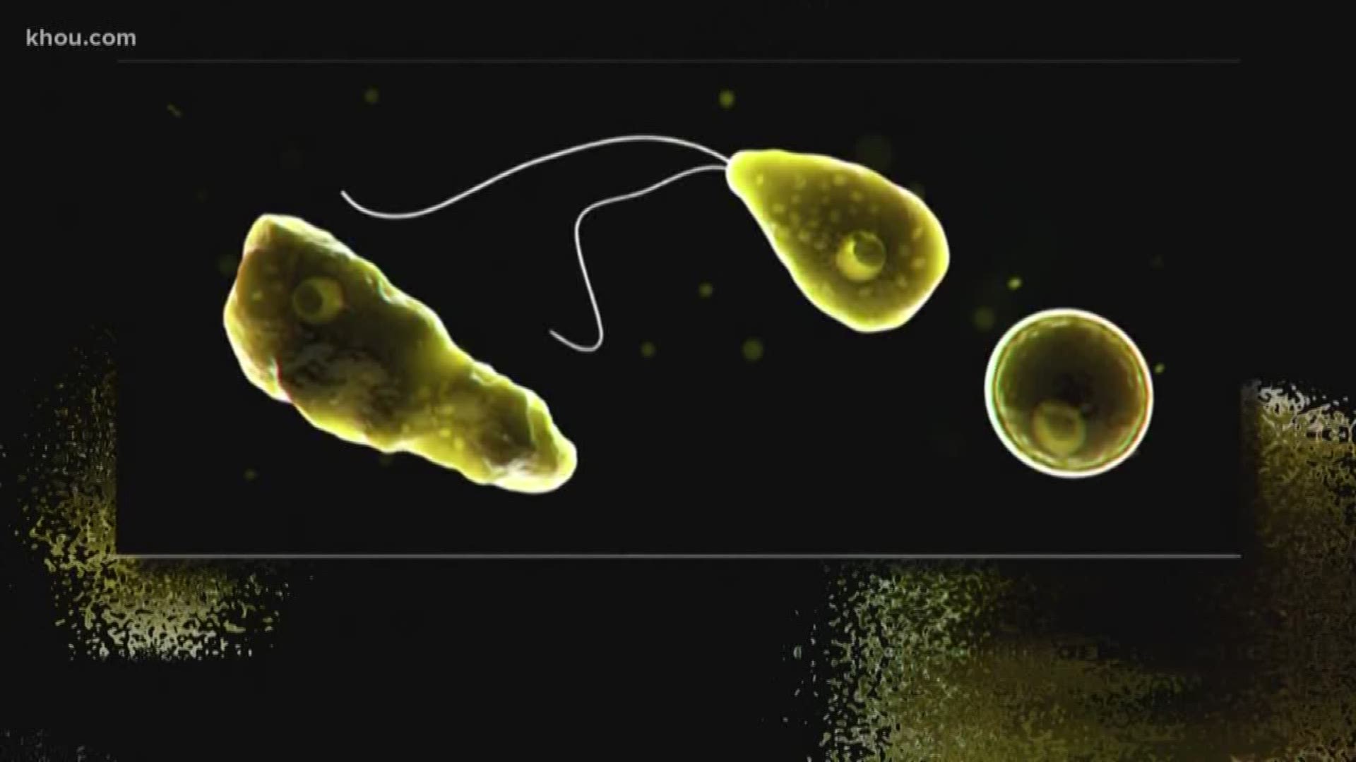 brain-eating-amoeba-found-in-lake-jackson-water-supply-cbs19-tv