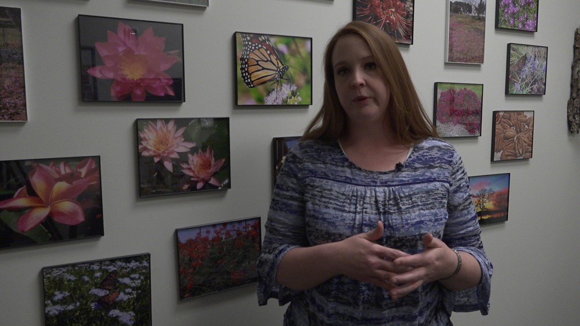 VERIFY Can you kill a butterfly by touching its wings? cbs19.tv