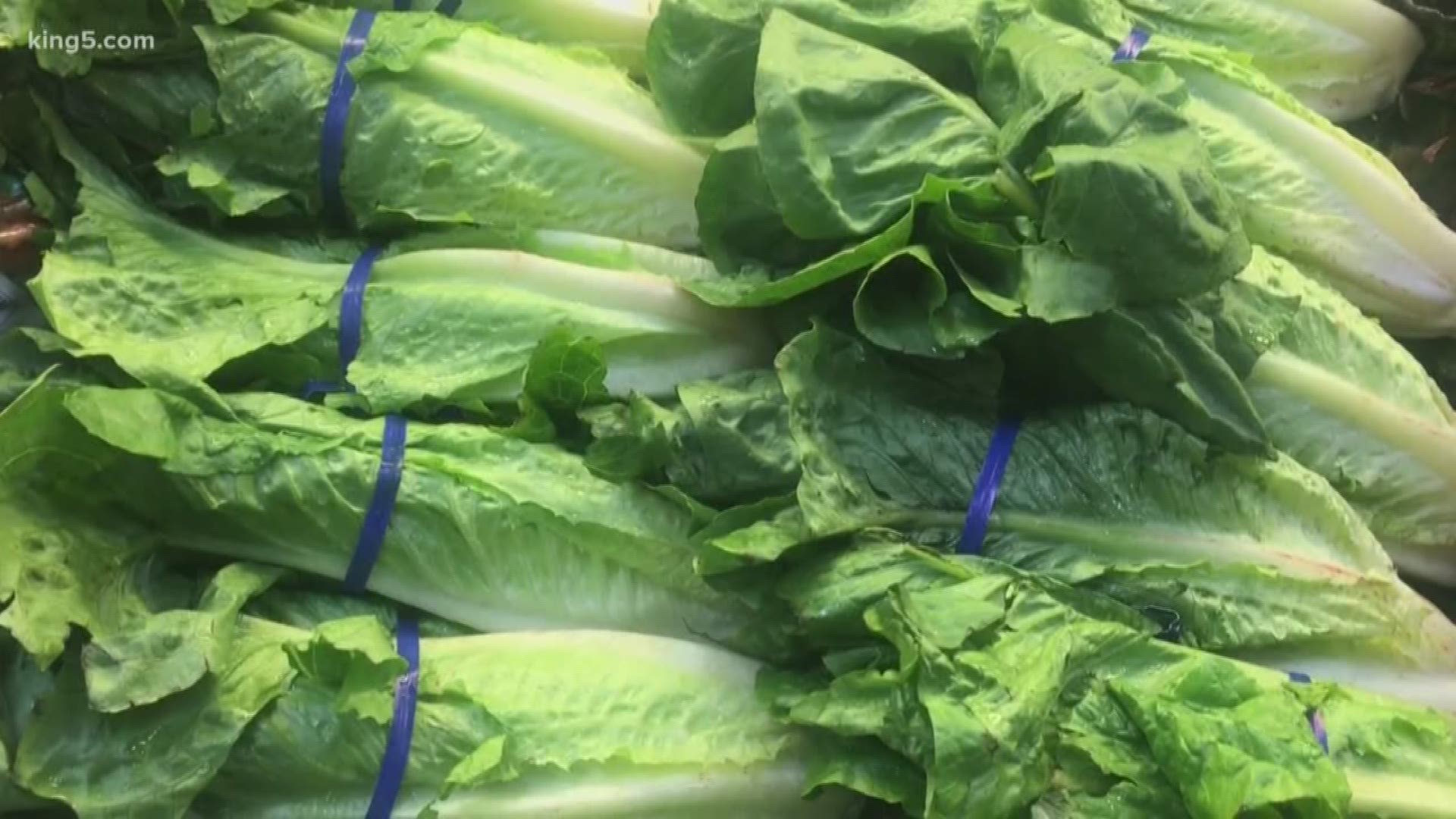 One out of every three families in the U-S serves some kind of salad on Thanksgiving, but this year there's a serious warning about serving romaine lettuce.