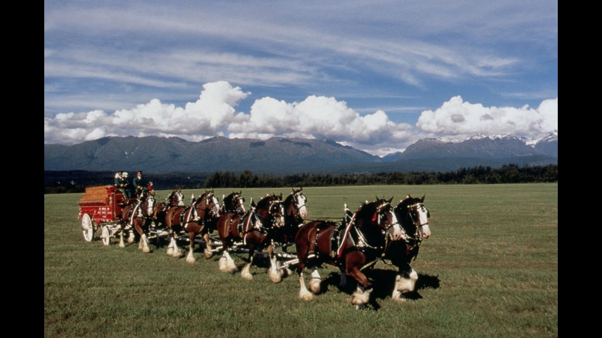 IT ONLY AIRED ONCE Budweiser's iconic Clydesdales pay tribute to 9/11