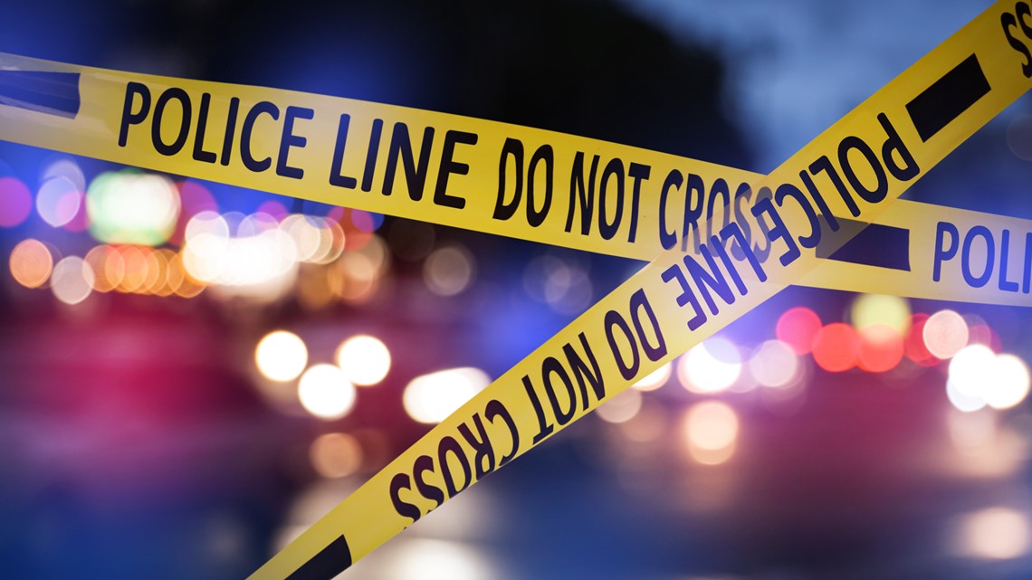 2 found dead on side of highway in Cherokee County - Vimarsana News