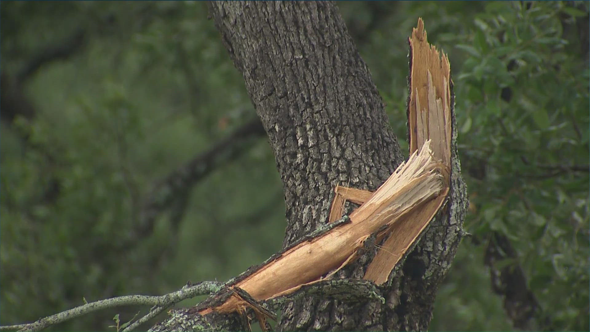 The two short-lived tornadoes touched down near Wimberley just after 1 a.m.