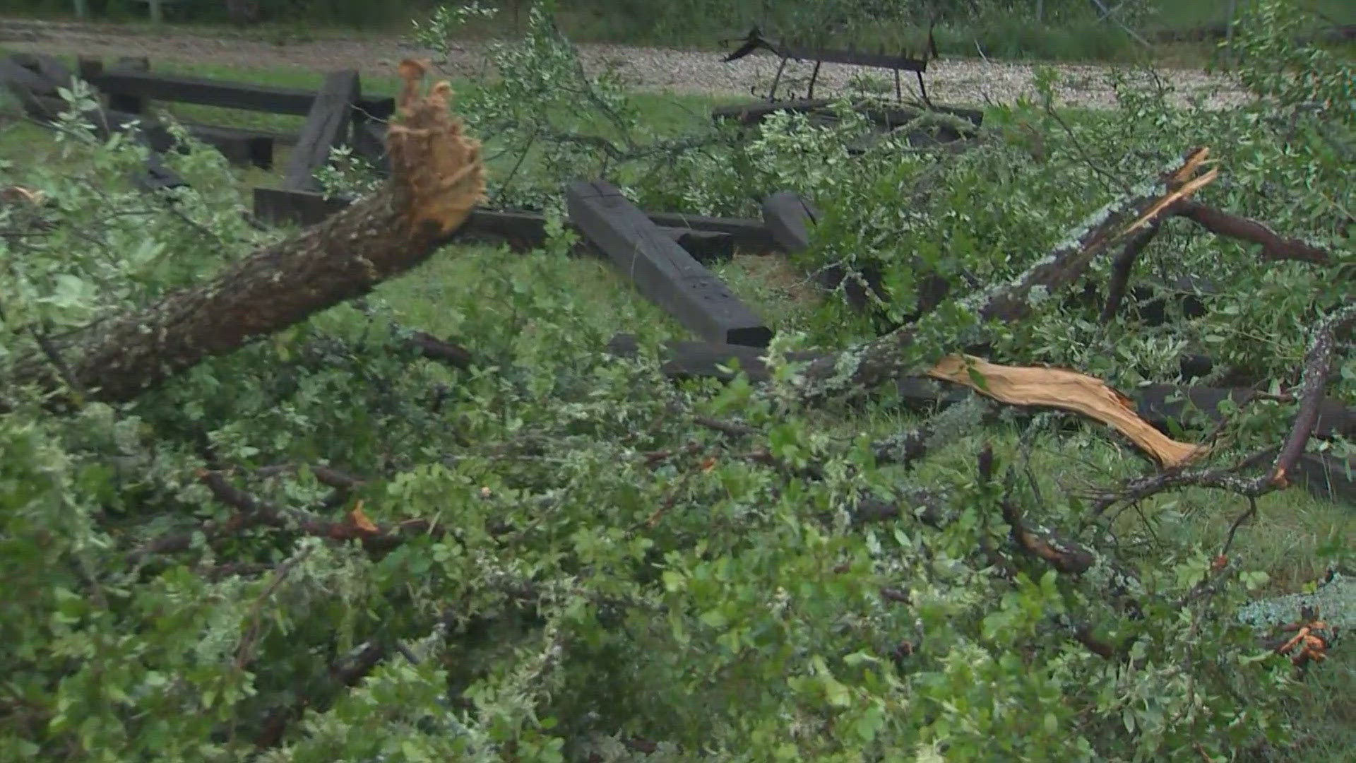 The tornado impacted the area near FM 32 and Ranch Road 12 at around 1 a.m. Thursday. 