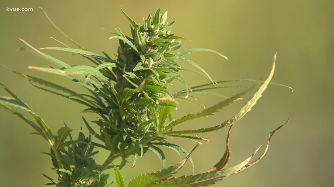 Delta-8 THC products illegal in Texas - Vimarsana News