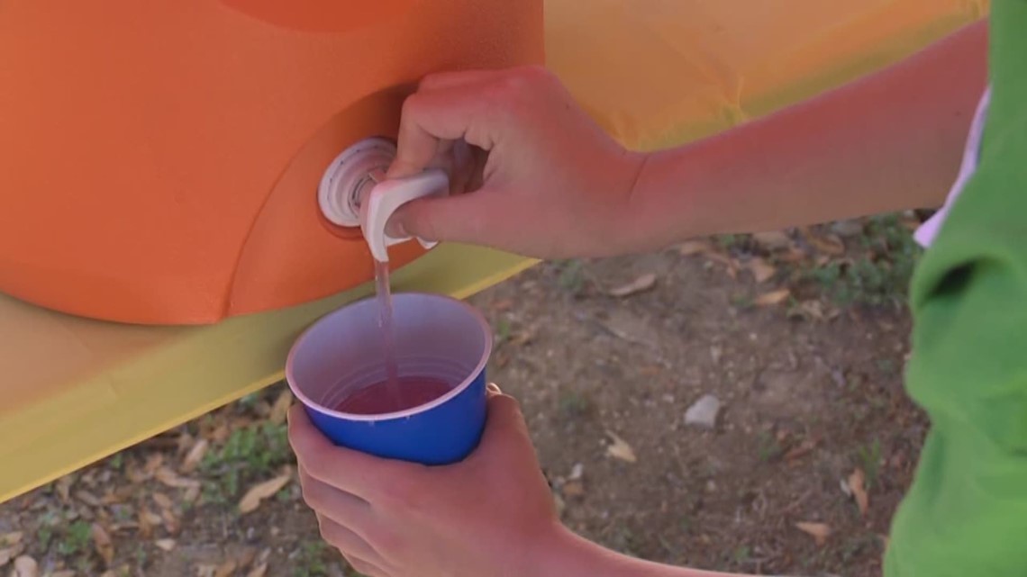 Texas Senate unanimously passes 'Save Our Lemonade Stands Bill' cbs19.tv