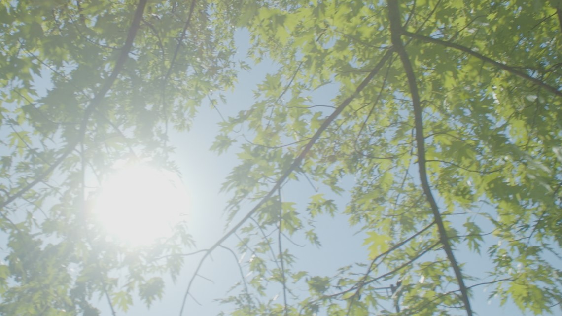 Excessive heat can take its toll, here are some health and safety tips