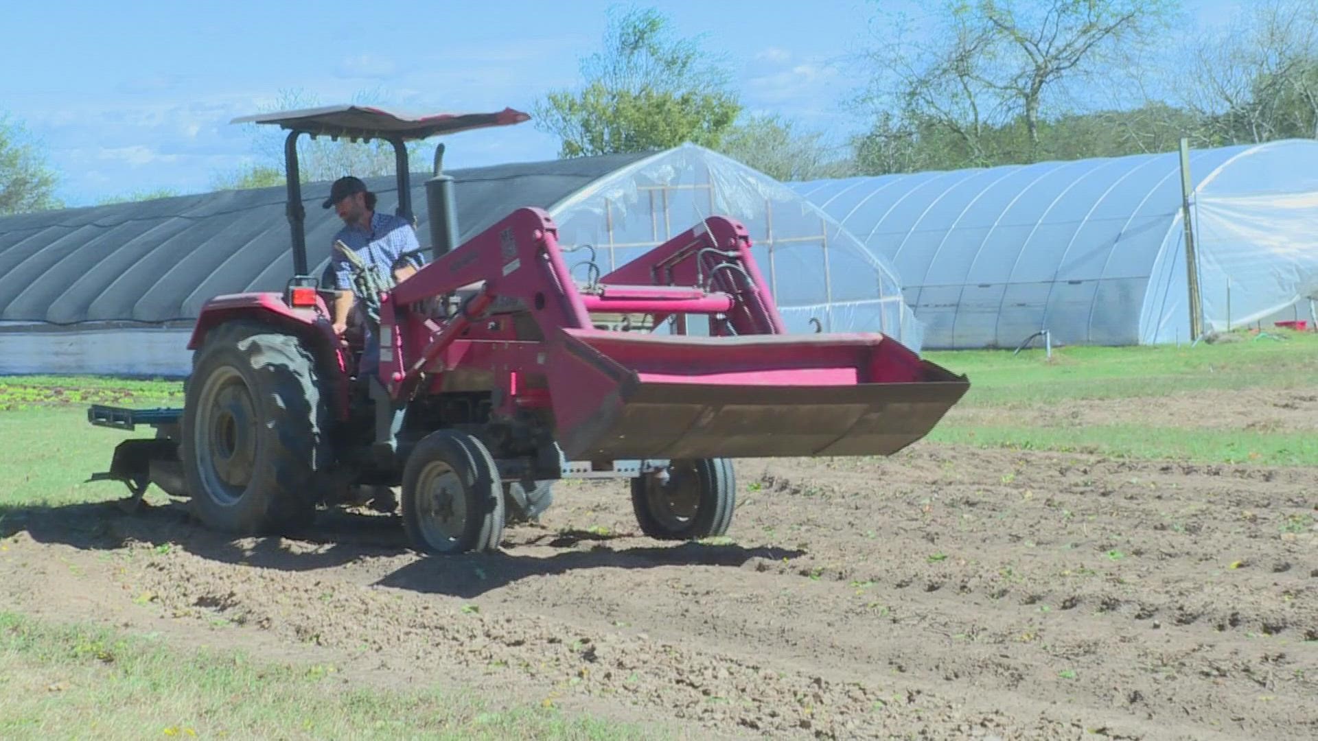 From the Dallas area to Winnsboro, TX, this family-ran farm has grown from a small garden to three acres in three years.