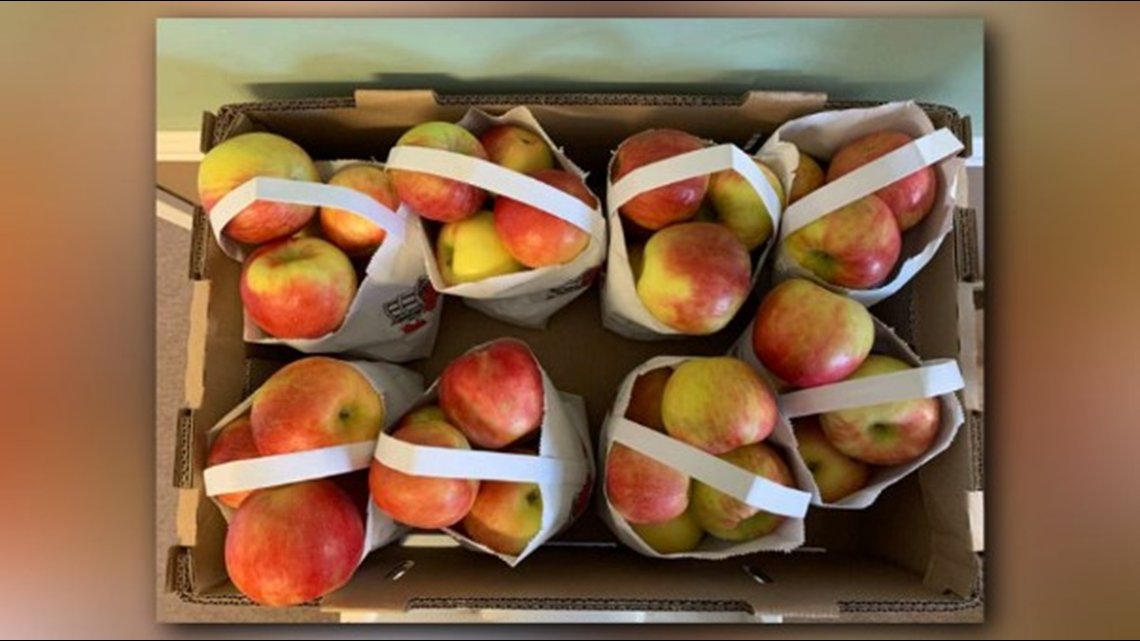 Apples shipped to Texas, 7 other states recalled due to potential