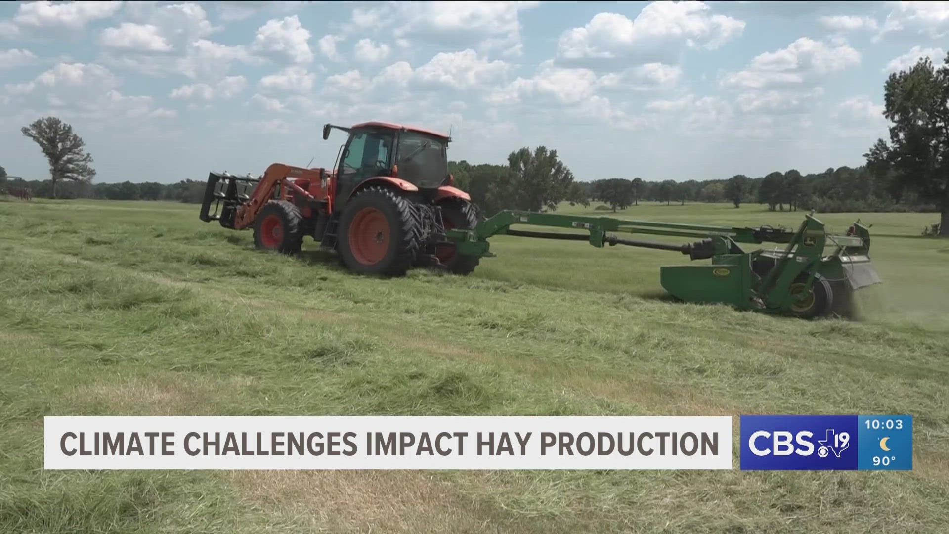 "We're trying to preserve or take everything that we can because the grass has stopped growing," said David Powell, owner of East Texas Hay Co.