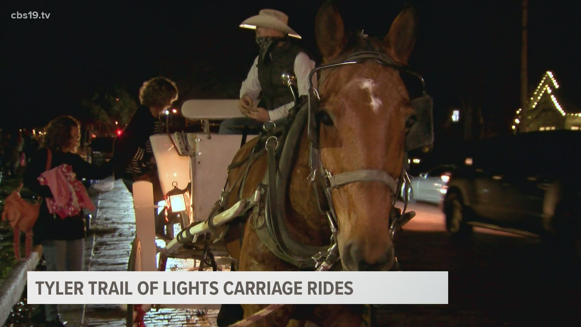 This holiday season, the Hot Springs Carriage Company is offering rides through Tyler's Azalea District Trail of Lights.