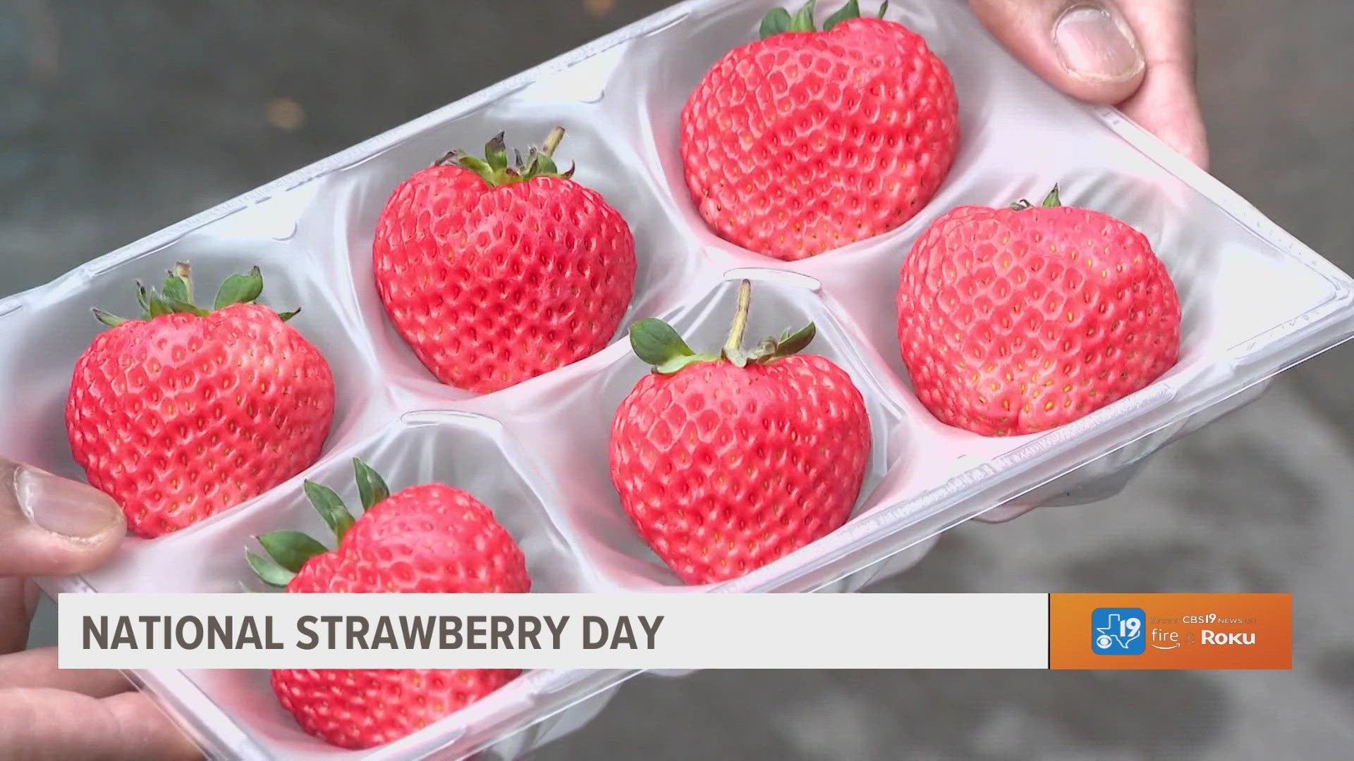 National Strawberry Day celebrates America's favorite berry | cbs19.tv