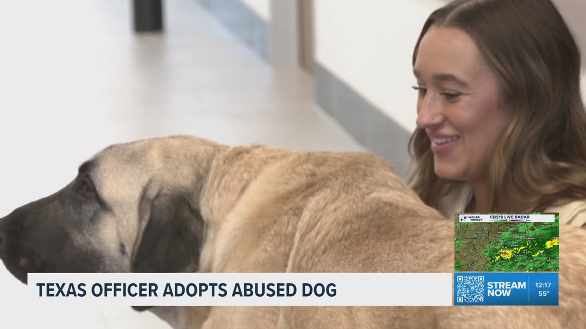 Texas police officer adopts rescue dog injured in animal abuse case