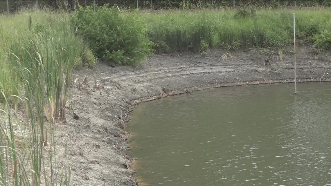 Rainfall in East Texas leads to lifted burn bans - Vimarsana News