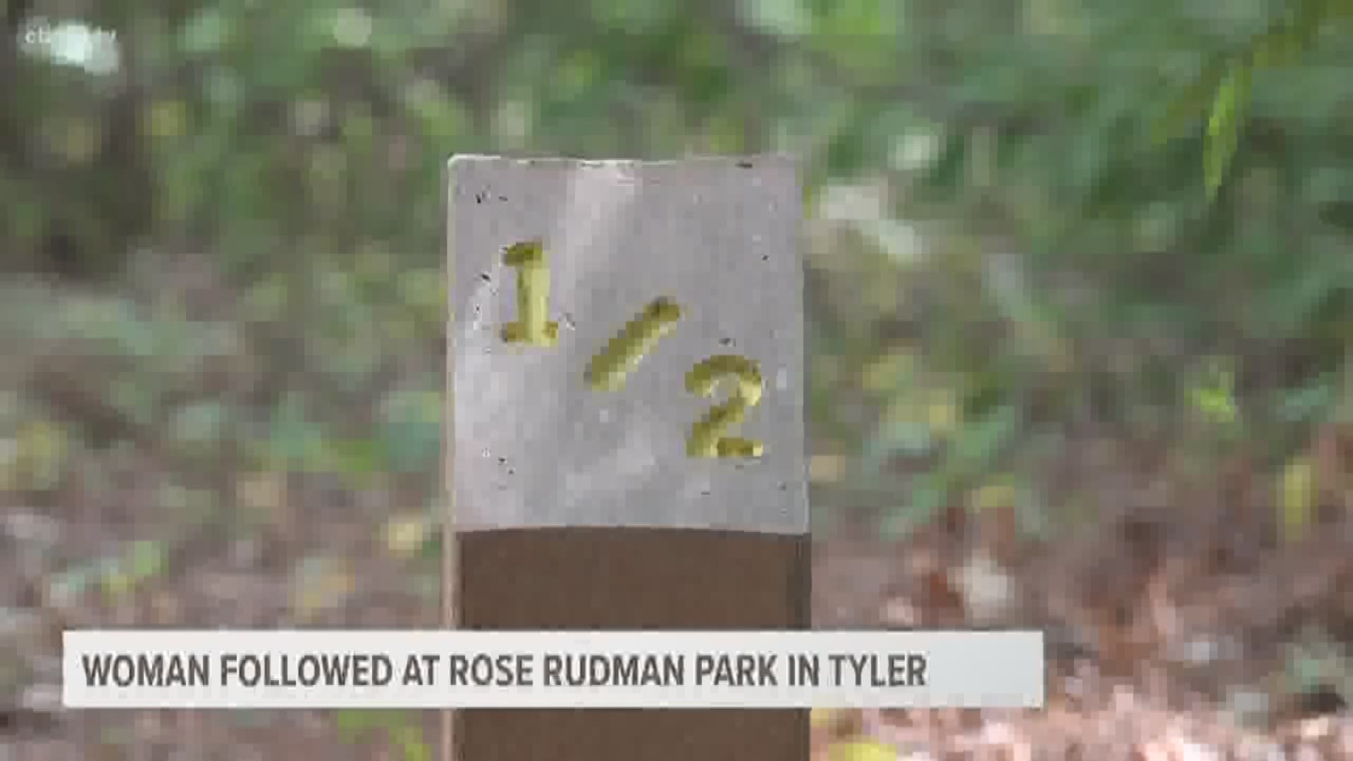 While Morgan Magee was having her daily visit to the park, she says a man blocked her path and then stalked her.