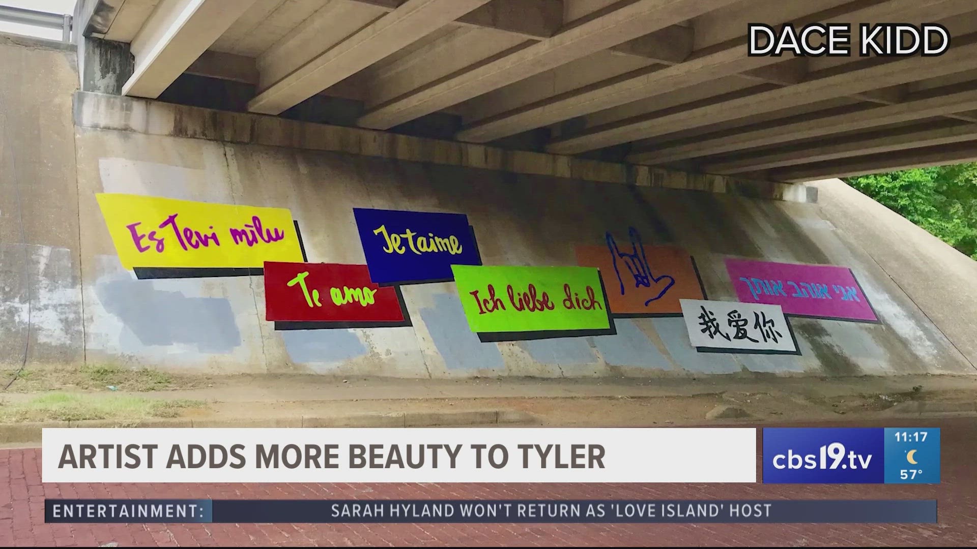 Artist adds beauty to Tyler with multiple murals across city