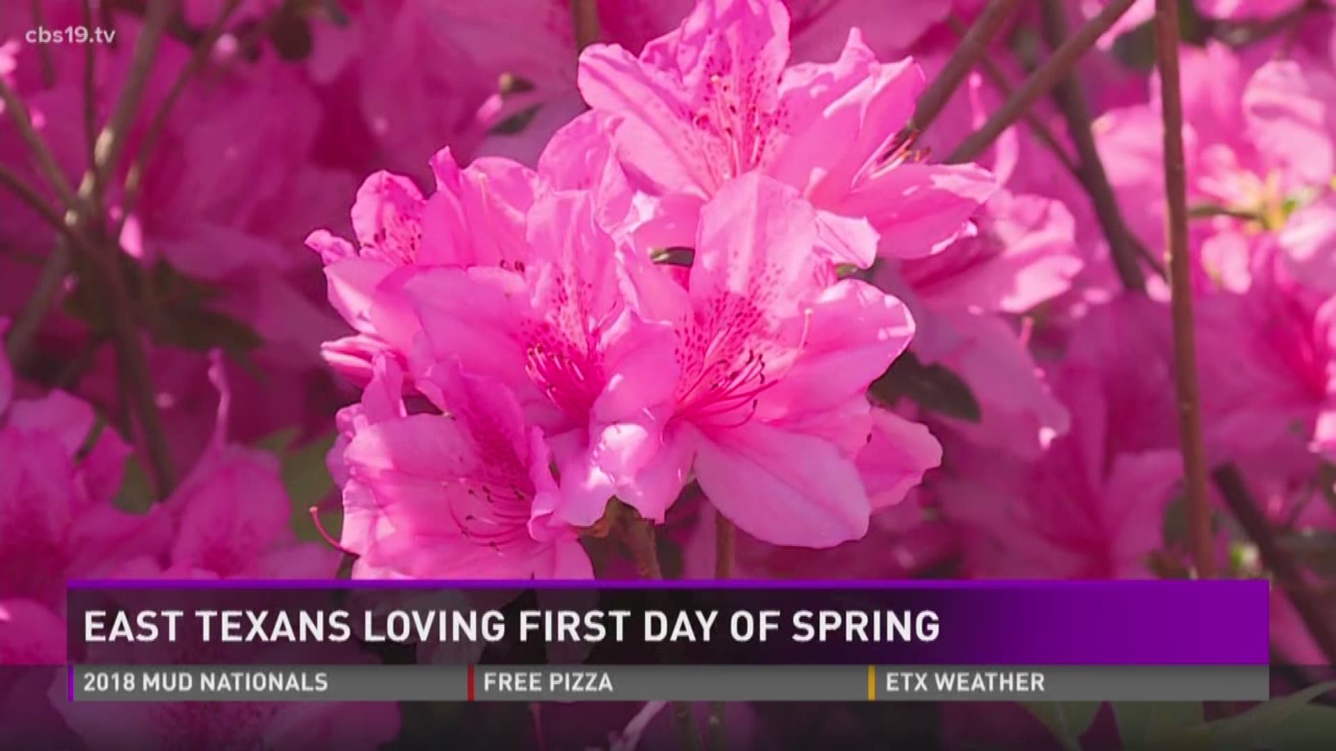 What East Texans love about spring 