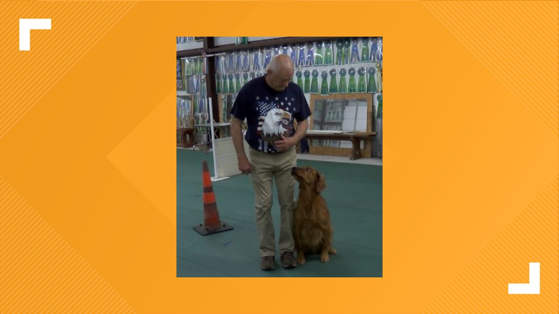 Mineola dog earns national obedience award cbs19.tv