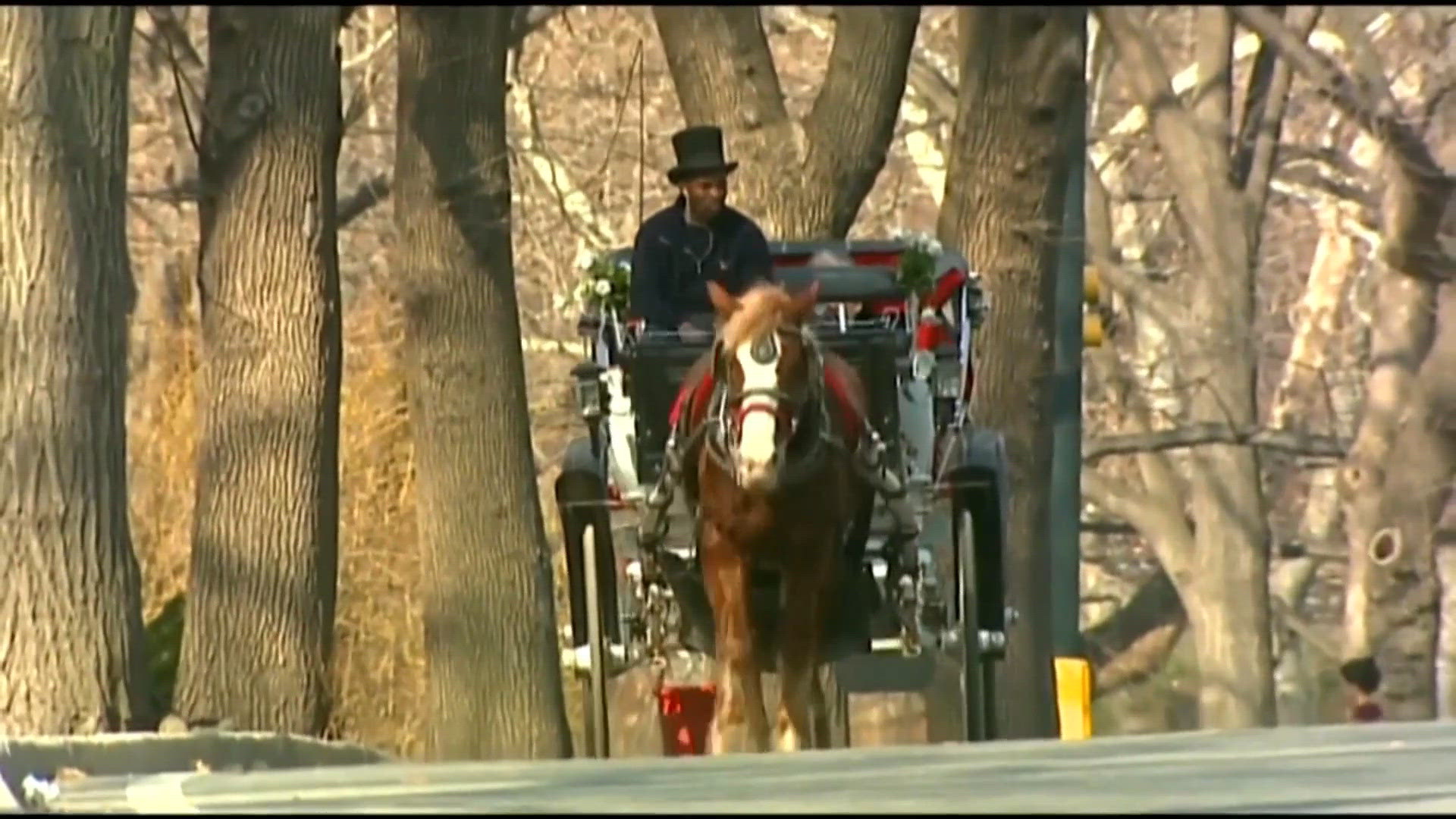 New York City approves plan to phase out Central Park horse-drawn ...