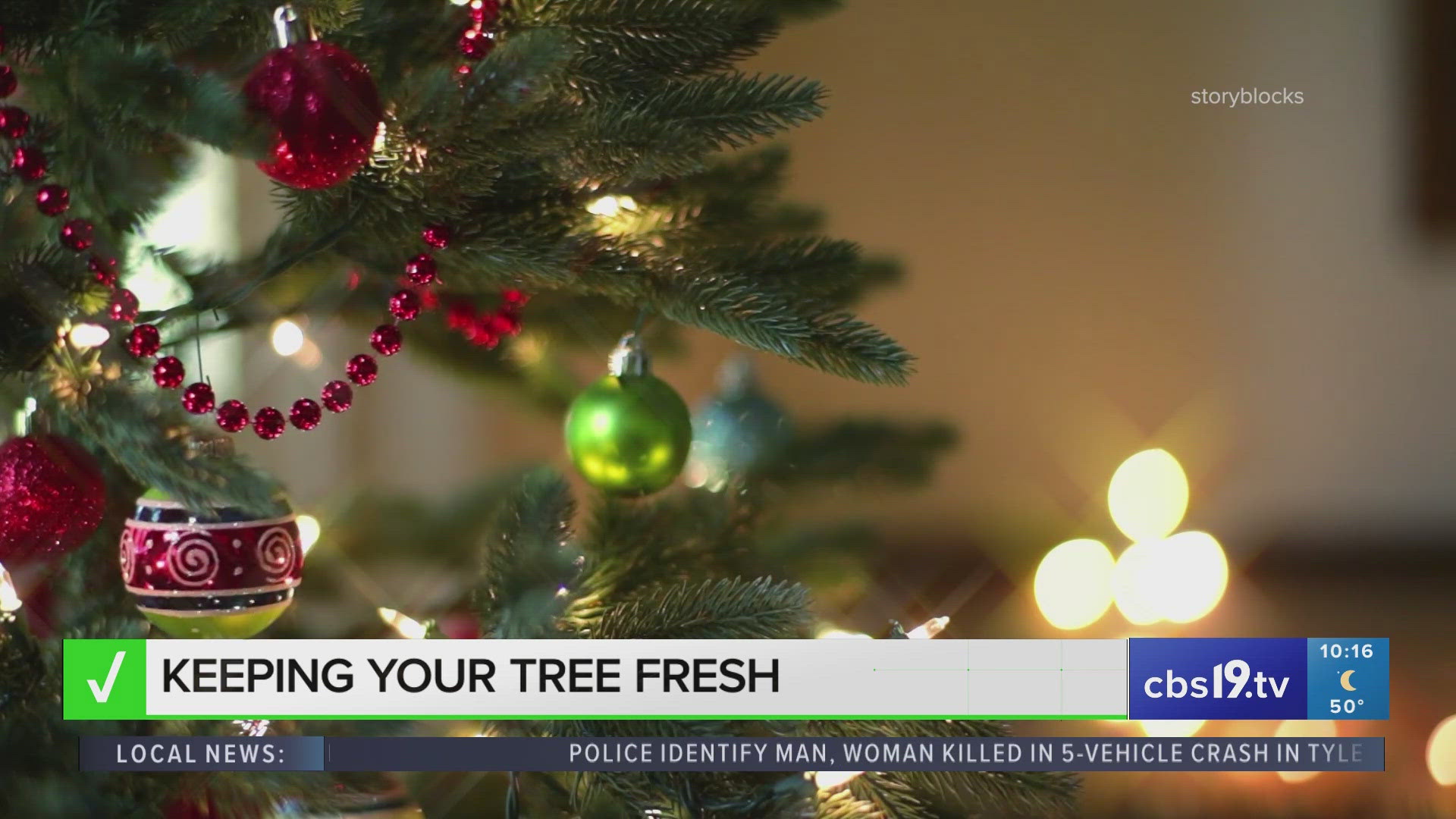 VERIFY: Does sugar water help keep your Christmas tree fresher