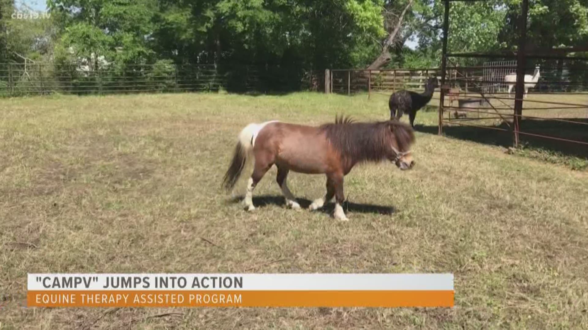 CampV, a 20 acre veterans resource center in Tyler is under construction, but one of their programs is already up and running. We break down THAAT Ranch, an equine assisted therapy program that is the first of it's kind in the area.
