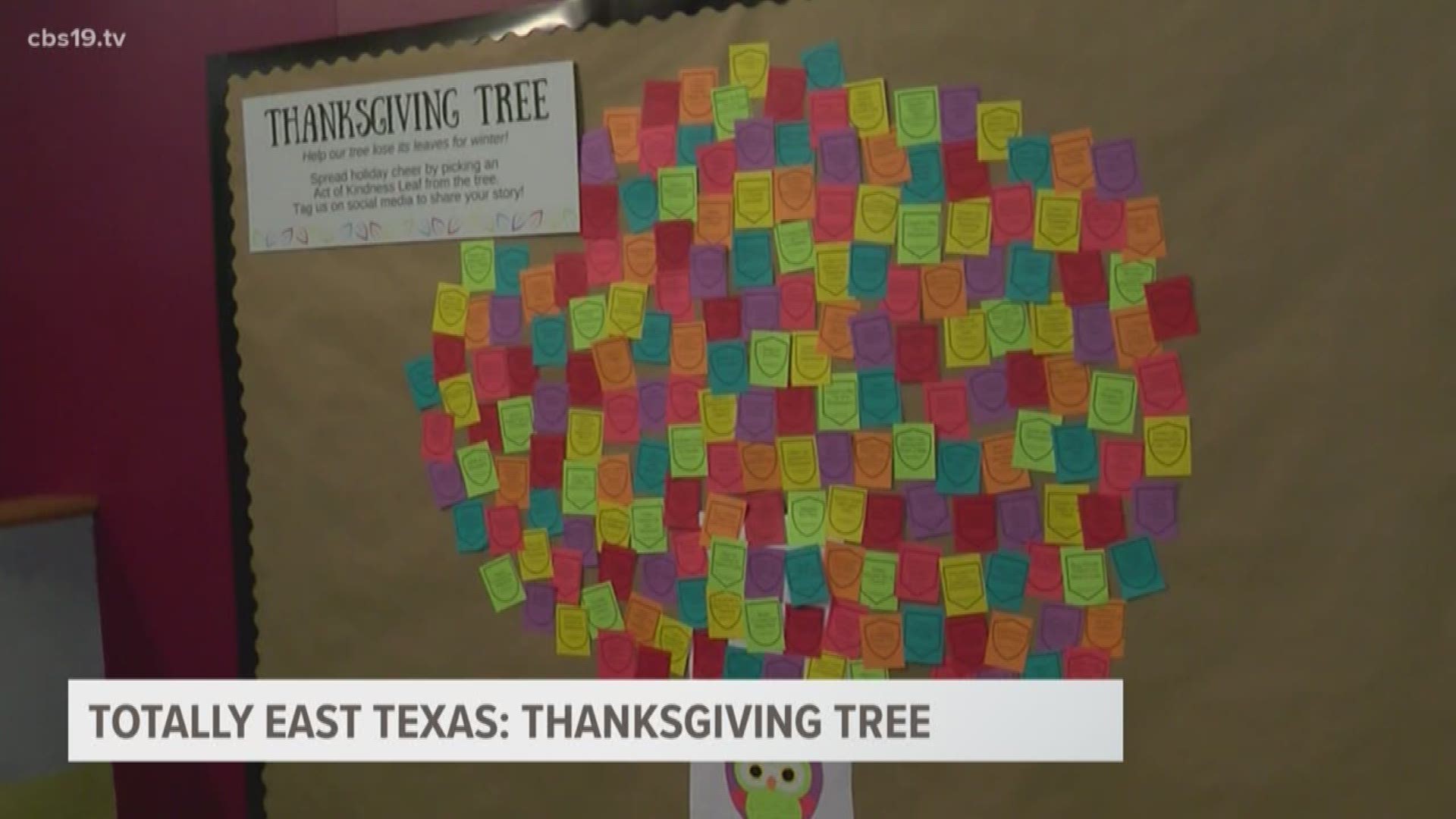 Nestled inside the Texas Forestry Museum in Lufkin is the Thanksgiving Tree in November. It's brightly colored leaves filled with inspiration for acts of kindness.