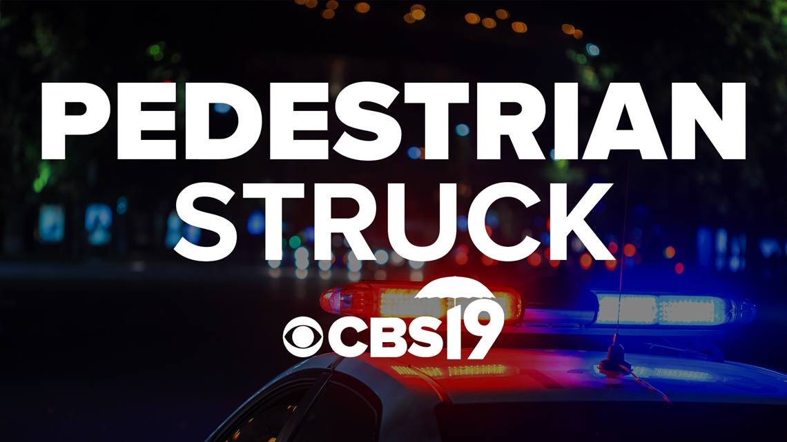 Man killed after being struck by semi truck - Vimarsana News