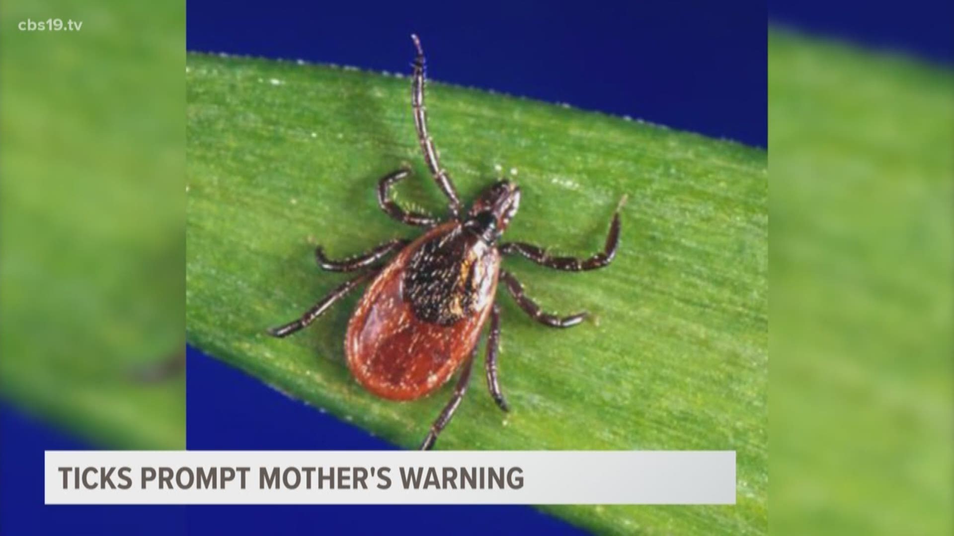 After her four-year old son was bitten by ticks and diagnosed with Lyme disease, an East Texas mother is issuing a warning to other parents.