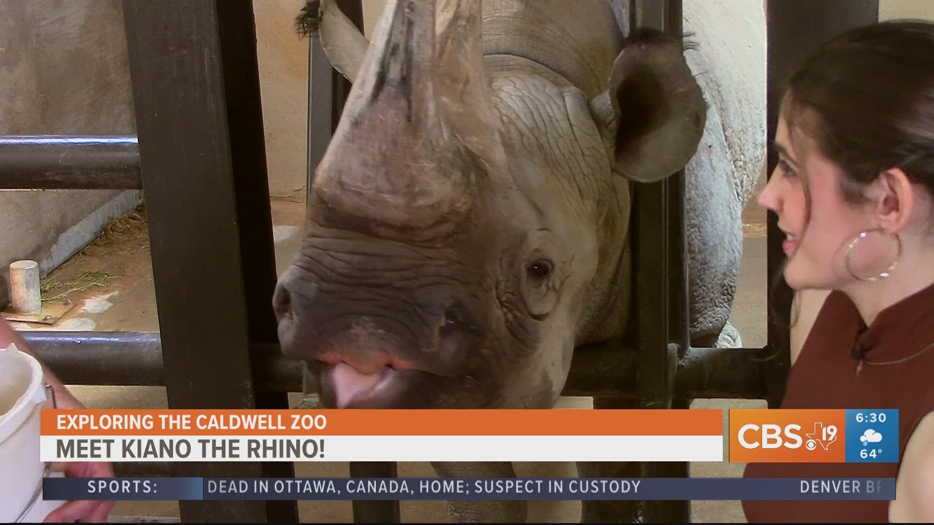 Watch Exploring the Caldwell Zoo Fridays during Morning Y'all!