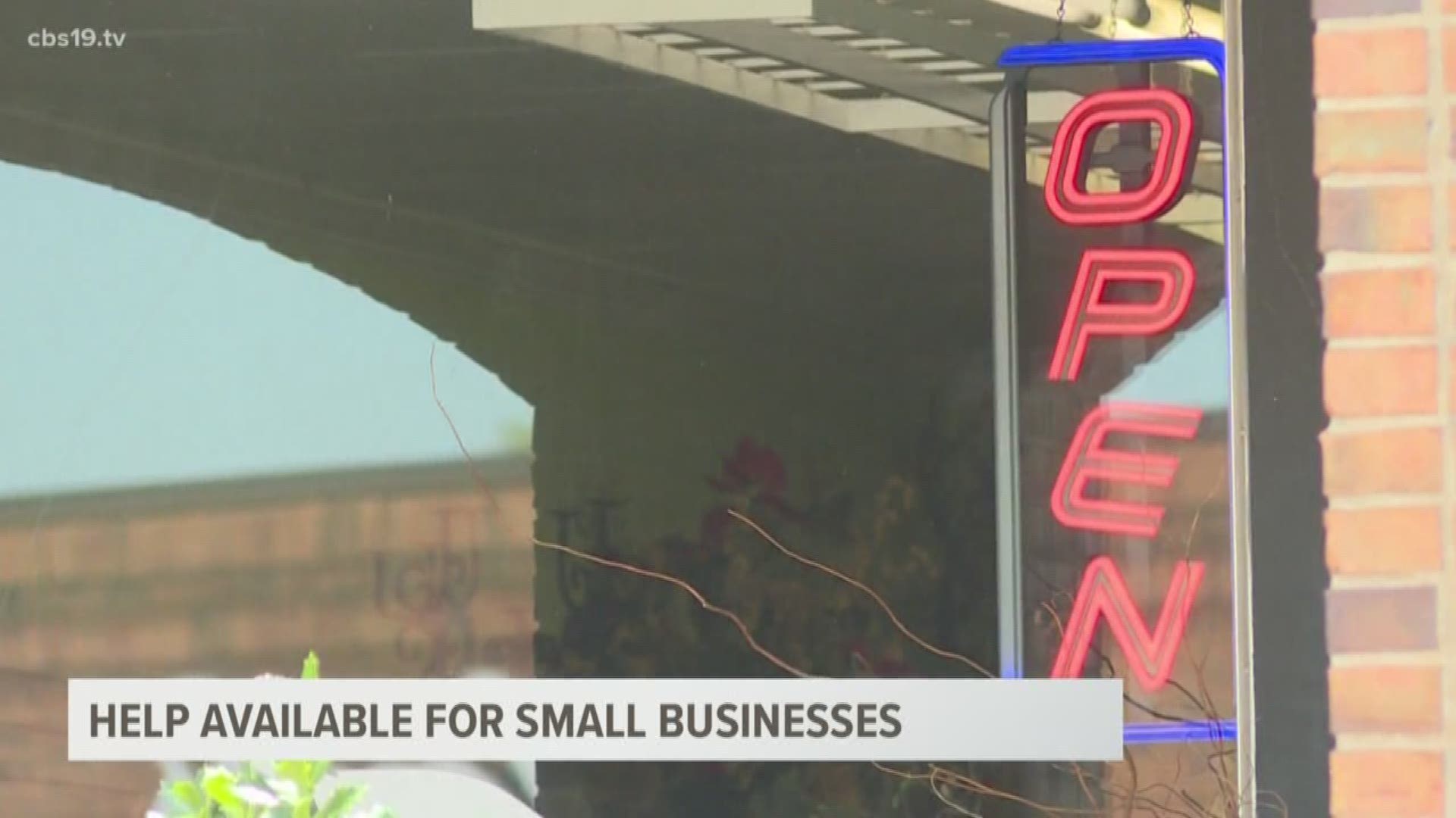 A good portion of the Tyler/Smith County economy is made up of small businesses primarily in the retail service sector